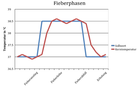 fieberphasen